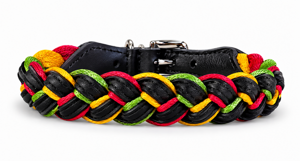 Leder / Nylon gevlochten collar rood/geel/groen