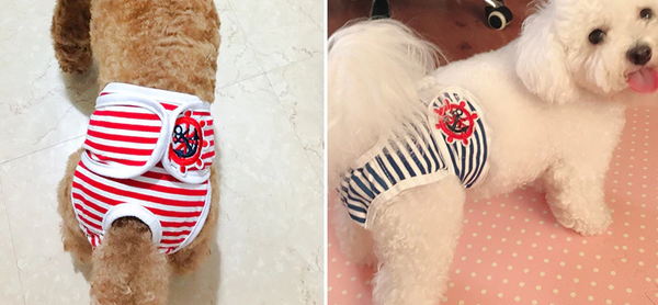 Loopsheid-/incontinentie-broekje voor teefjes Marine