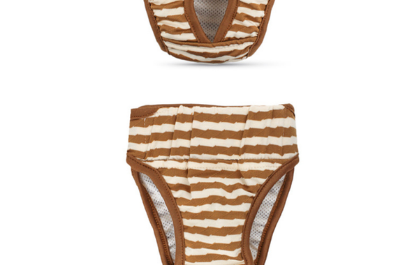 Loopsheid-/incontinentie-broekje voor teefjes stripes