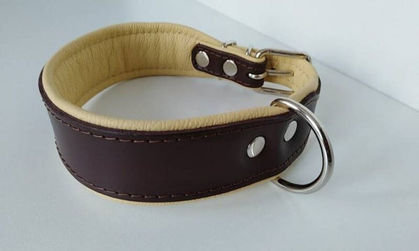 LEDER Classic Collar bruin/cognac CUIR 50mm