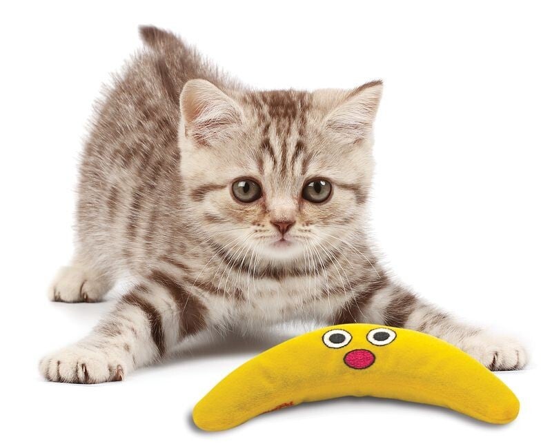 Catnip Boomerang Buddy Banana