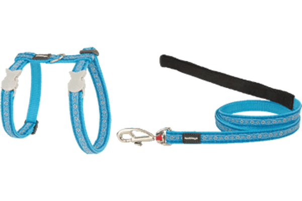 RED DINGO harnas kat madeliefjes turquoise