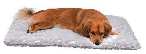 Gewatteerd donsdeken met fleece & velours zijde 70cm x 100cm