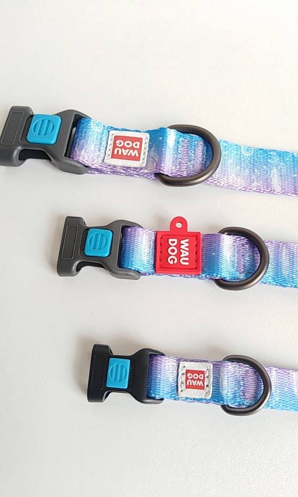 Waudog Dreamcatcher collar + ID-tag & safety buckle