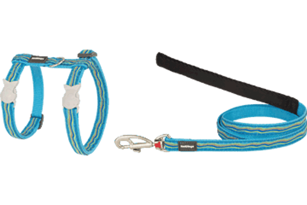 RED DINGO harnas kat dreamstream turquoise