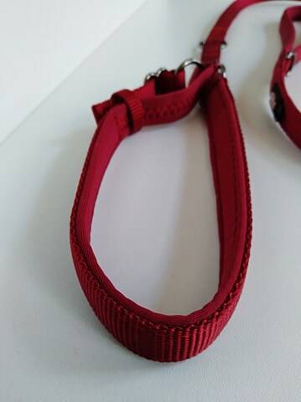 dressagelijn half-slip bordeaux 120cm x 2.5cm