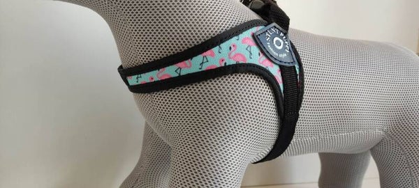 Flamingo tuigje blauw/roos