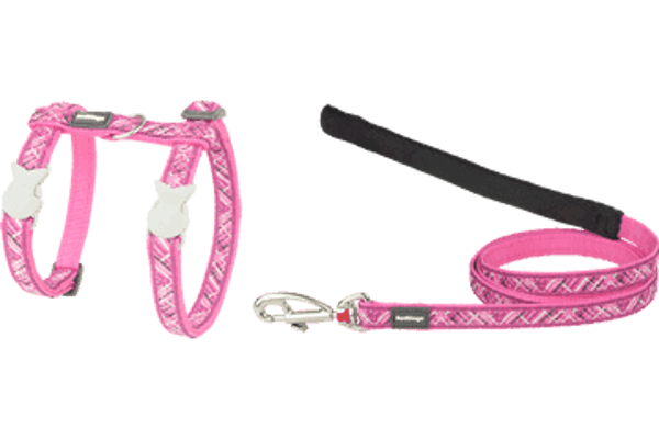 RED DINGO harnas kat flanno fushia