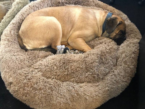 Fluffy Donut XL