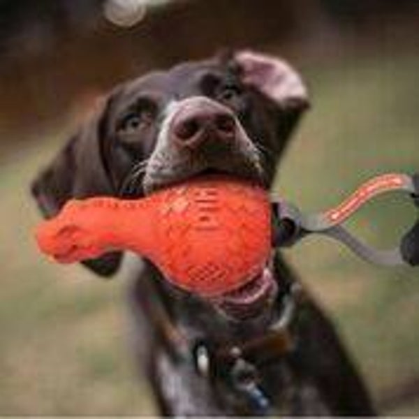 Stevige rubber apporte met aan/af pieper