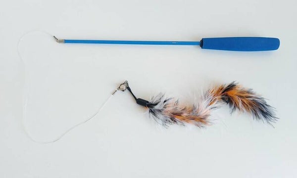 Telescopische Hengel 40-98cm + scary bontpluim