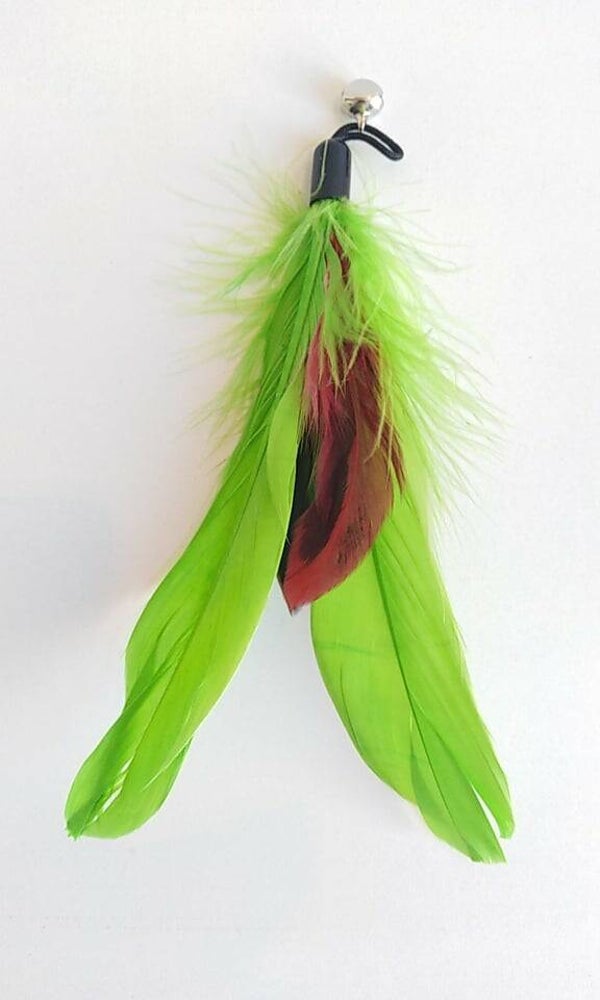 Hengel speeltjes : Reuzepluimen + belletje