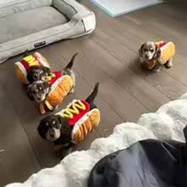 Hot-Dog costume