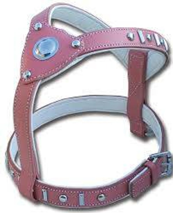 LEDEREN PRINCESS HARNAS