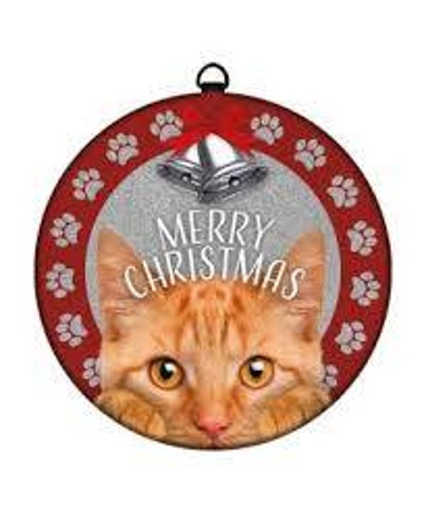 Blikken Kerstbol roste kat