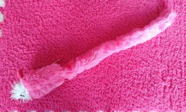 Langstaart Muis roze