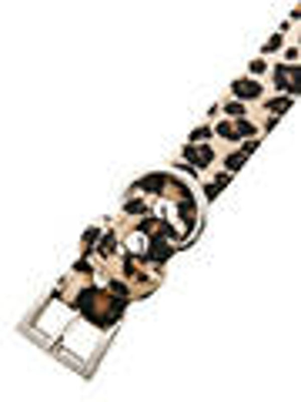 Collar Urban Leopard