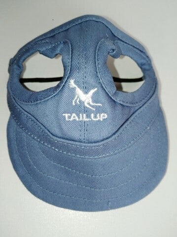 Baseball petje grijs