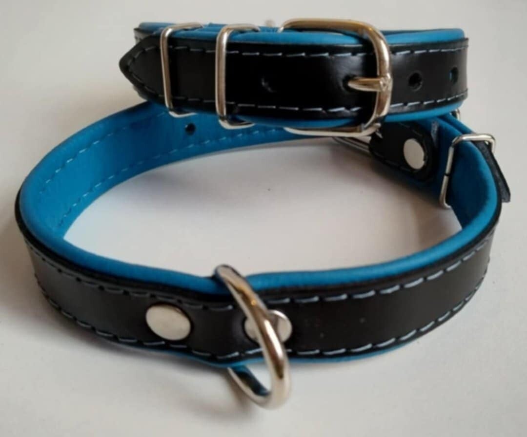 Leder Collar basic zwart/blauw