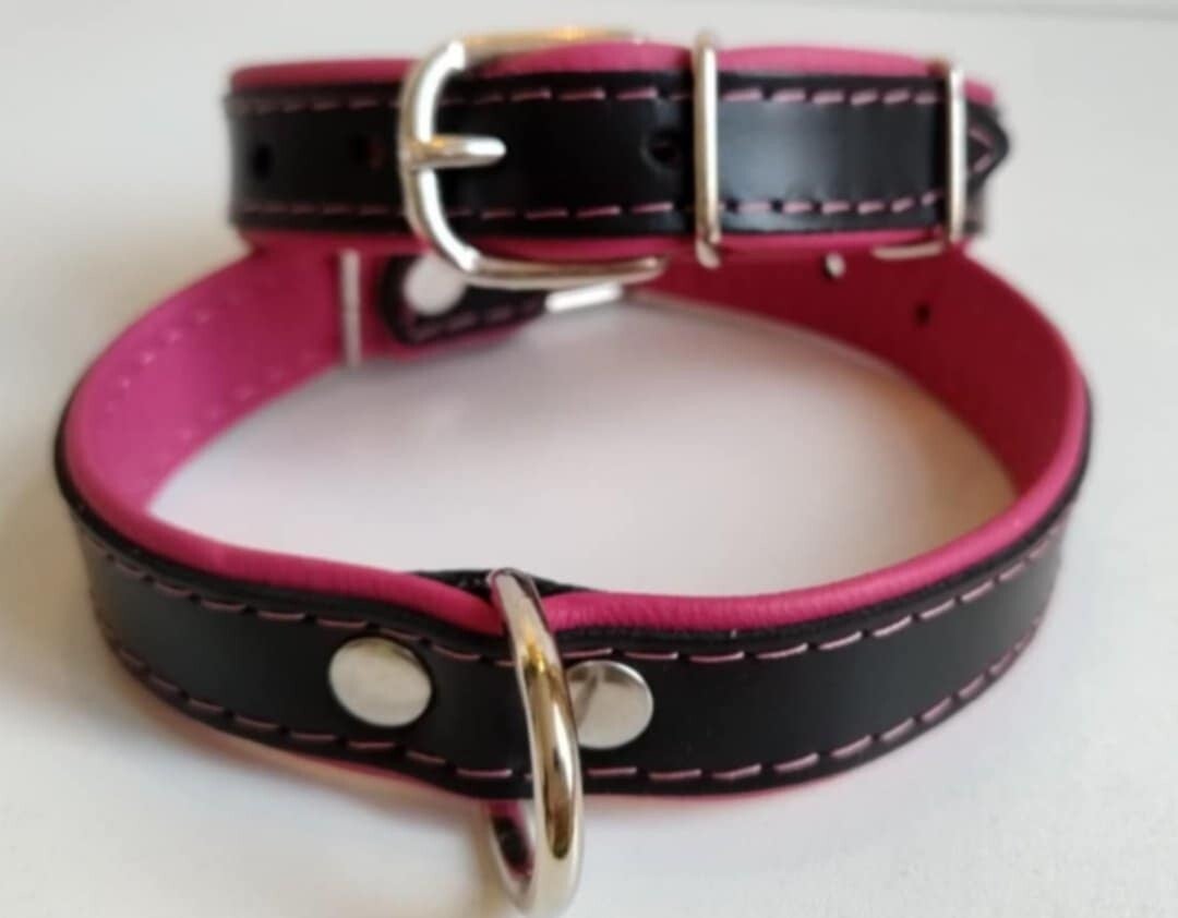 Leder Collar basic zwart/fushia