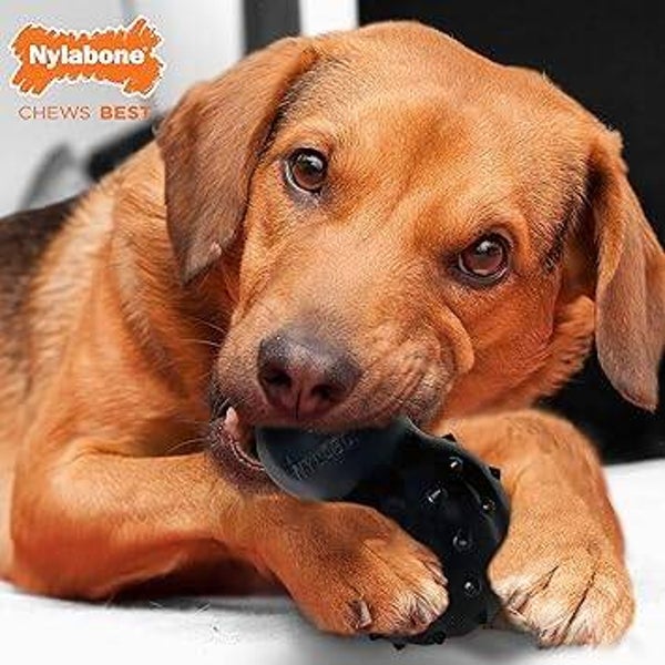 Nylabone Snack toy