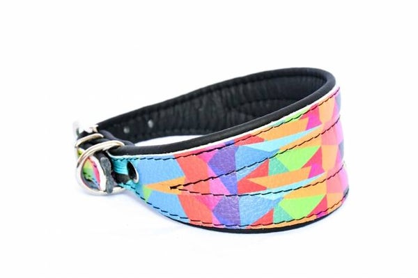 LEDER COLLAR whippet Picasso CUIR 50mm