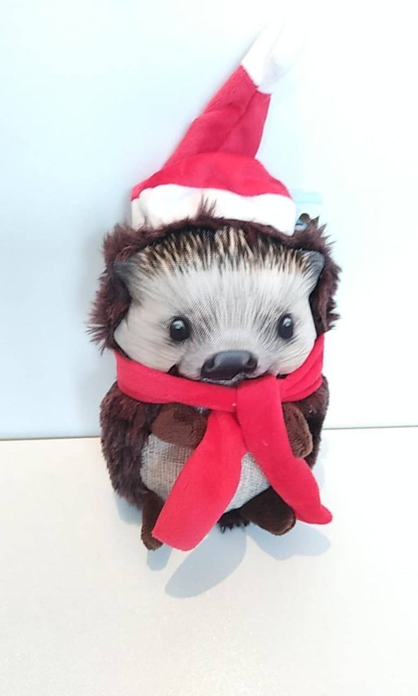 Kerst Pluche Egel 30cm