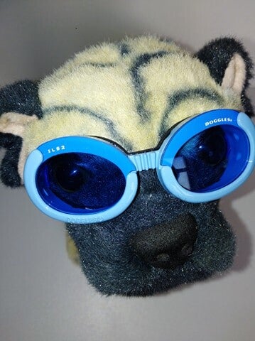 Doggles Blauw small
