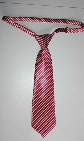 Dasjes grotere rassen