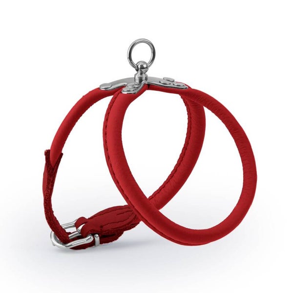 rond Leder harnas rood