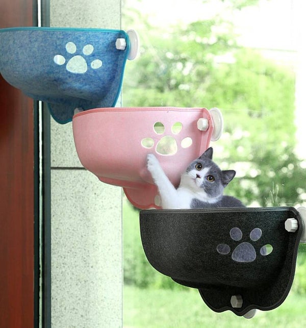 Venster ligbed / hangmat kat