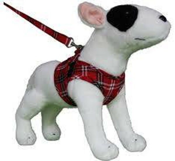 Comfy winter schots rood-wit