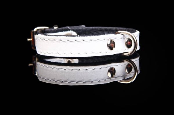 Leder Collar basic wit/zwart