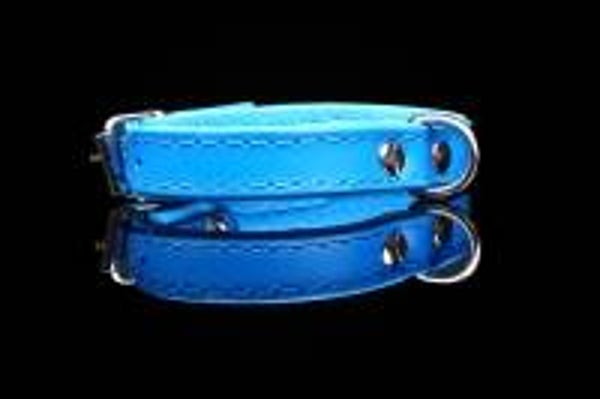 Leder Collar basic blauw/blauw