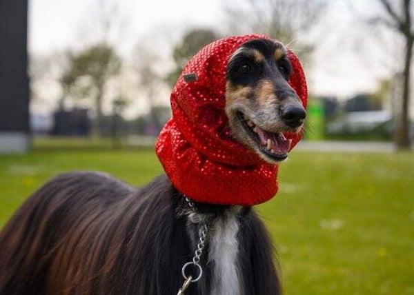 Snood glitter rood