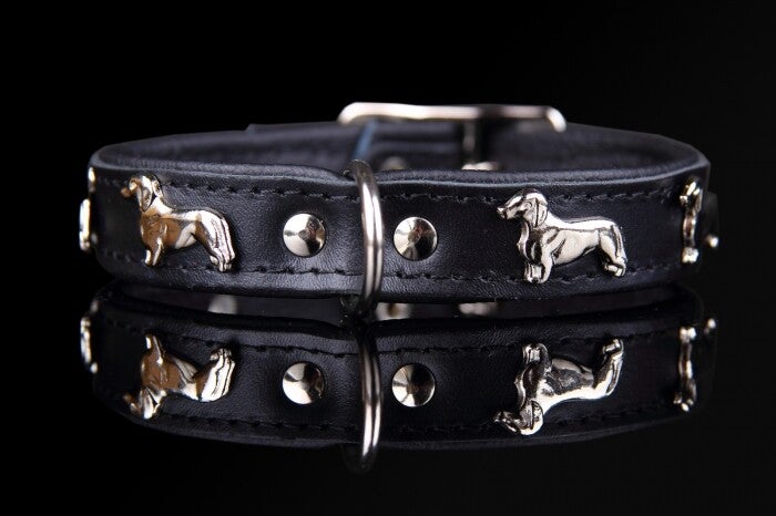 Leder Collar Dashond Teckel zwart