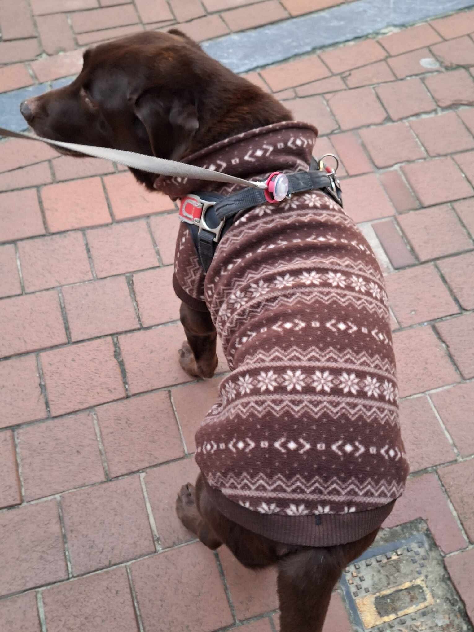 Fleece sweater Scandinavië bruin