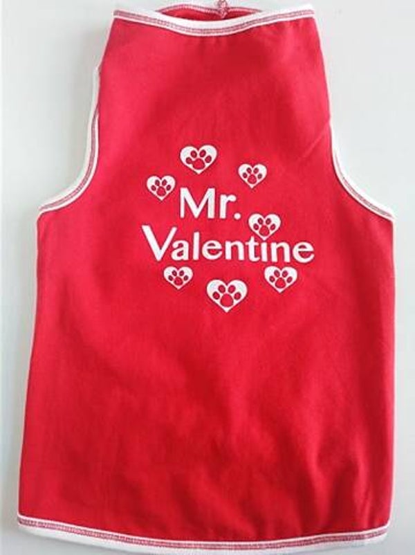 Mr Valentine rood 37cm