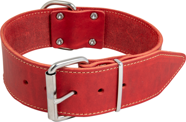 Vet lederen halsband terracotta rood