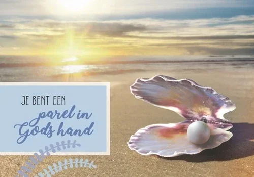 Brights Light ( vanaf € 2,25 t/m € 2,50 )