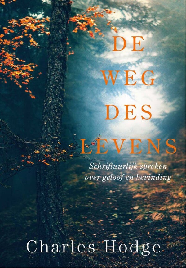 De weg des levens - Charles Hodge