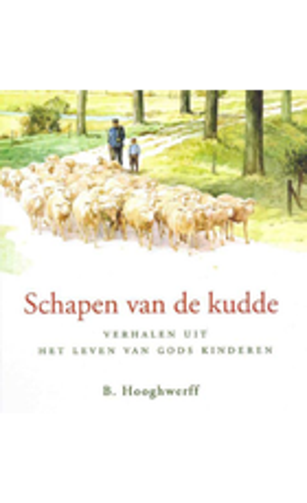 Schapen van de kudde