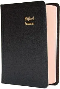 Dameszakbijbel D31R RITMISCH kunstleer