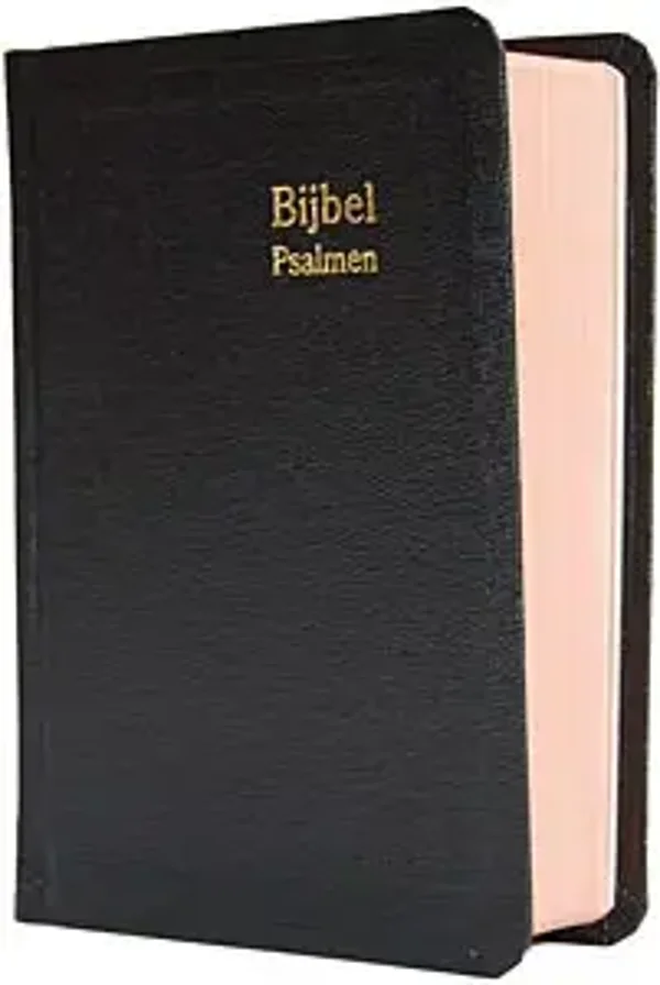 Dameszakbijbel D31R RITMISCH kunstleer