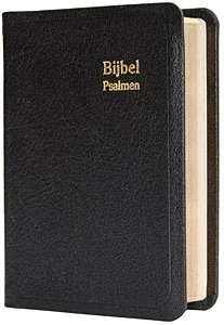 Dameszakbijbel D32R RITMISCH leer goudsn