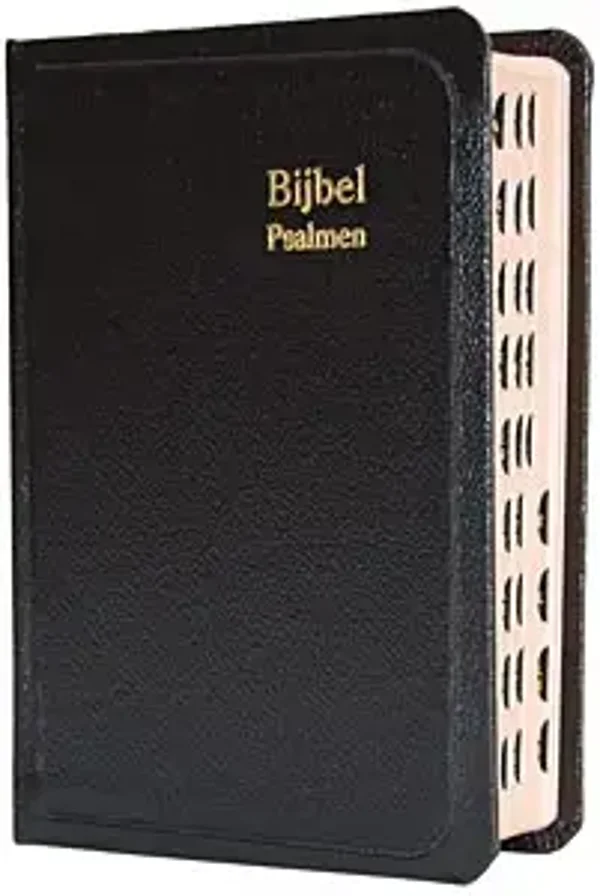 Dameszakbijbel D33R RITMISCH kunstleer