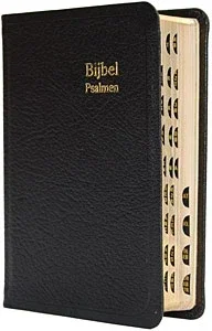 Dameszakbijbel D34R RITMISCH leer goudsn