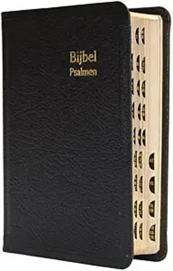 Dameszakbijbel D34R RITMISCH leer goudsn