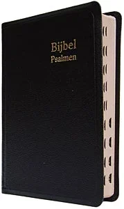 Herenzakbijbel H33R RITMISCH kunstleer