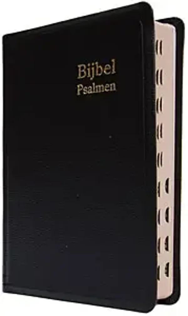 Herenzakbijbel H33R RITMISCH kunstleer